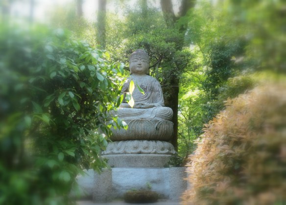In the gardens of Ryoan-ji