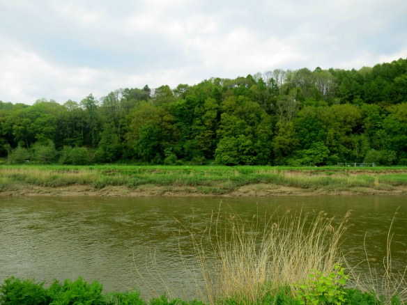 Wordsworth's sylvan Wye