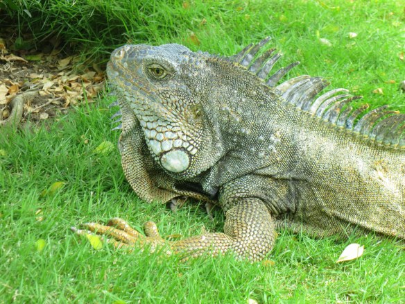 Guayaquil, Ecuador; March 24, 2014