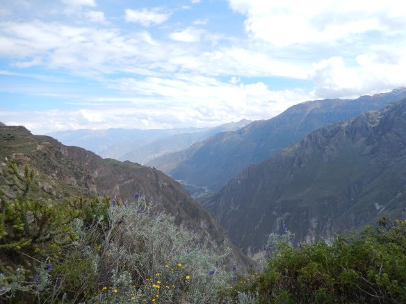 Colca Canyon