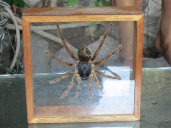 This does not inspire confidence in the safety of the surrounding countryside