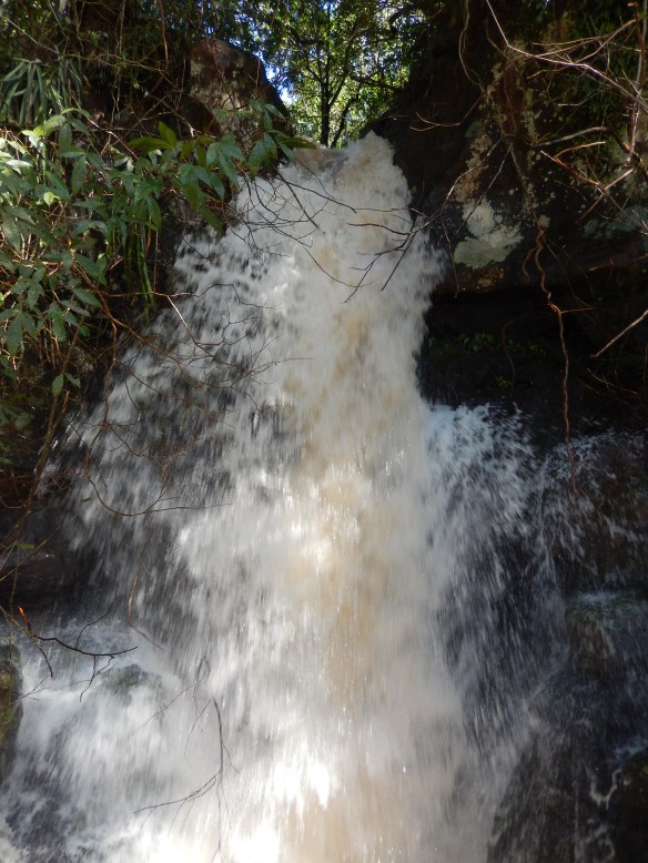 The water levels were the highest they've been in decades
