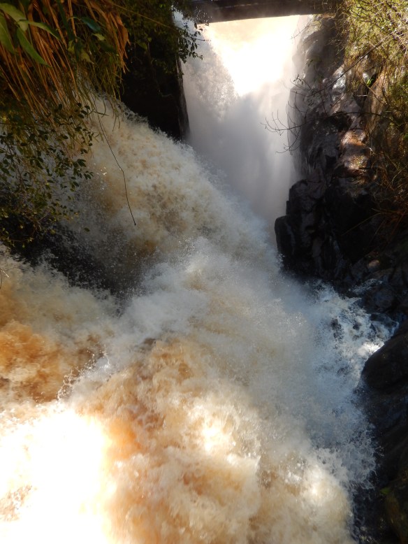 Looking down was a rush