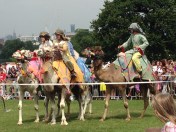 The race started when the four camels were more or less facing the same direction