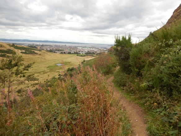 Taking the middle path