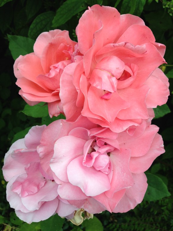 Bewdley, England; July 25, 2014