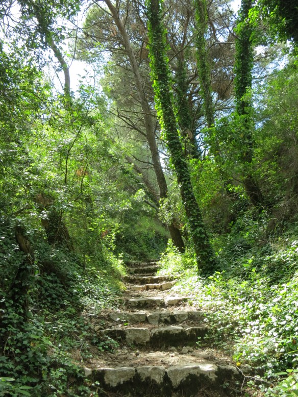 The walk across the island