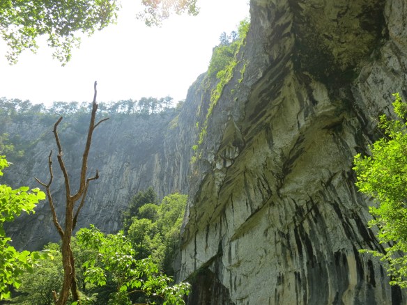 Aboveground but still in a valley, outside Skocjan Caves