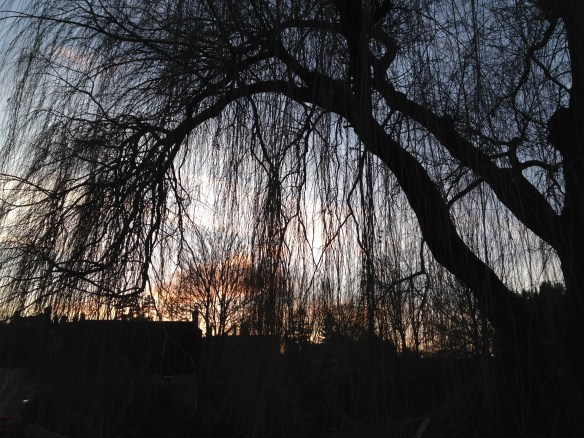 Sunset, Bloxham, England