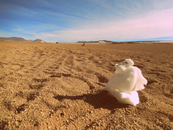 Somewhere in southwestern Bolivia; June 1, 2014