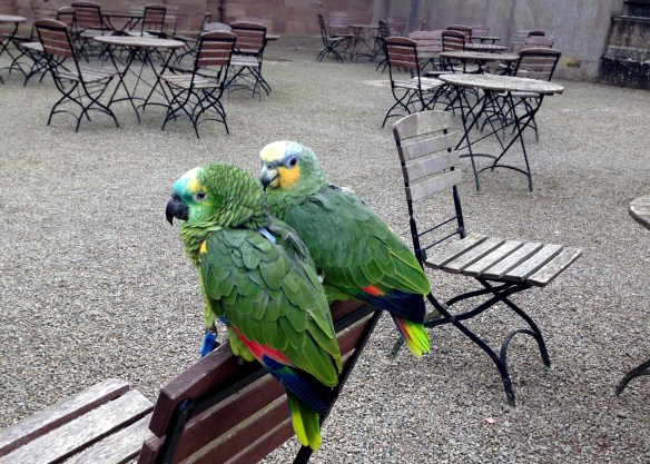 Berrington Hall, Leominster, England; February 28, 2015