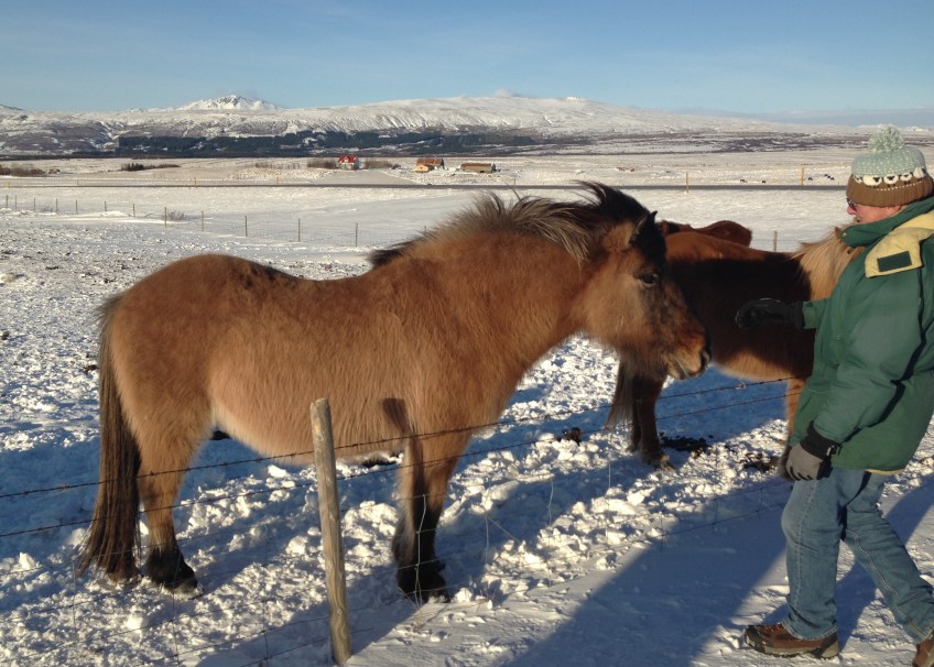 Iceland Golden Circle
