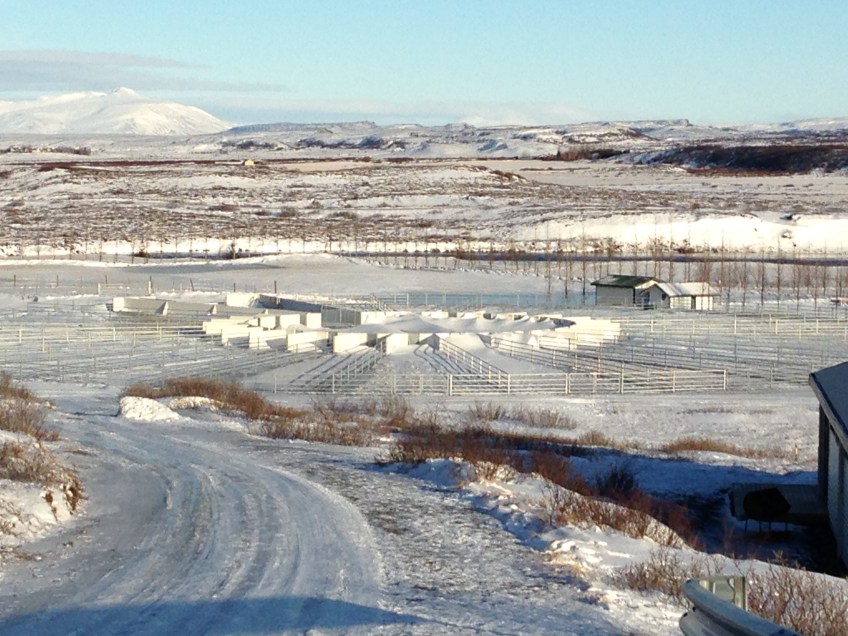 Iceland Faxafoss Golden Circle