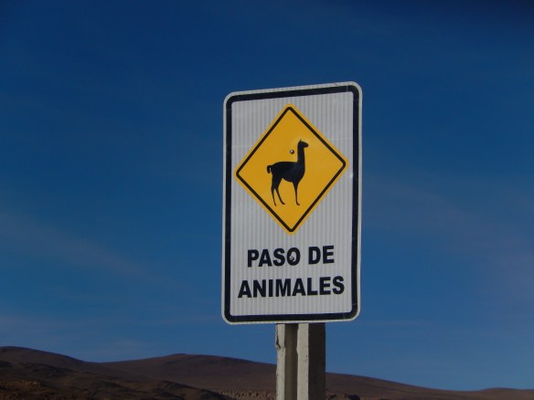 Llama crossing sign, Bolivia