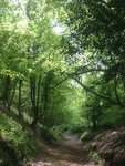 IMG_2152