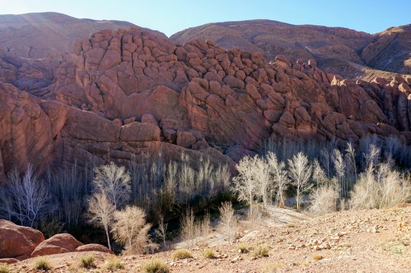 dades valley morocco road trip