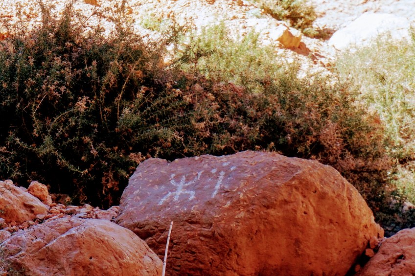 todra gorge morocco road trip
