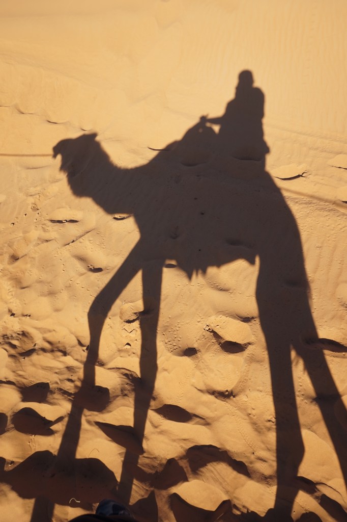 erg chebbi sahara desert morocco