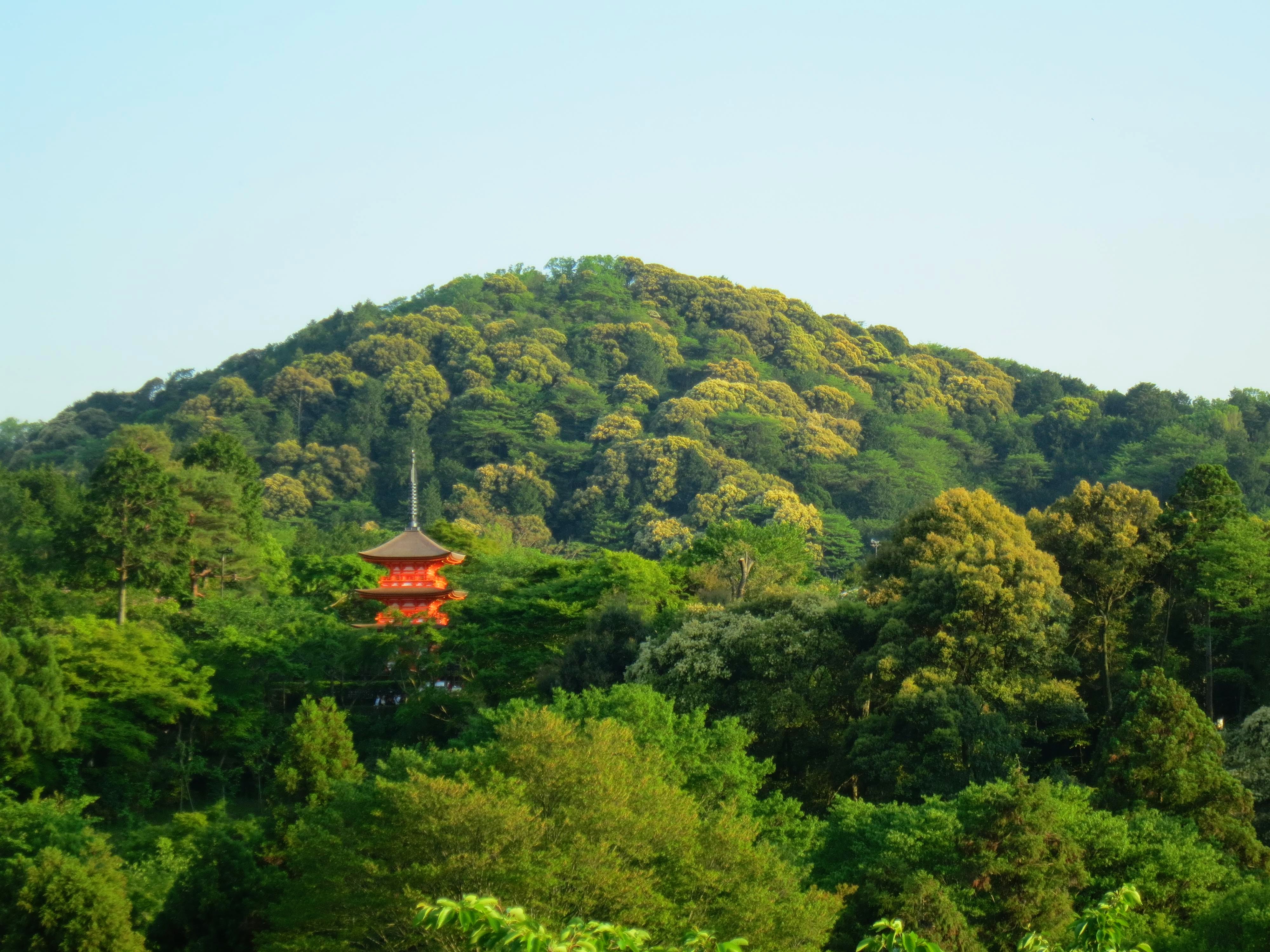 IMG_6323 (2017_05_25 16_05_49 UTC)